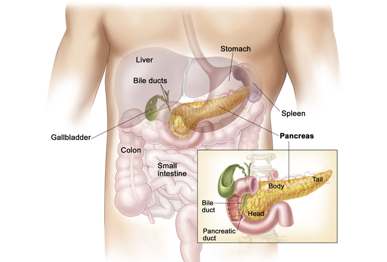 Pancreatic Disease