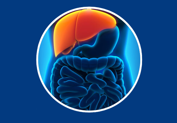 Liver Disorders