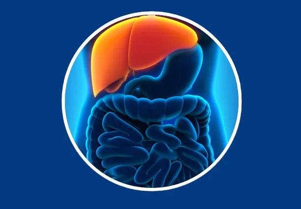 Liver Disorders